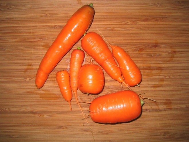 Tuber Diversity