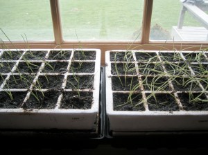 Green Inside and Green Outside