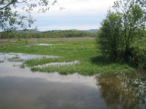 Laplatte River Running High