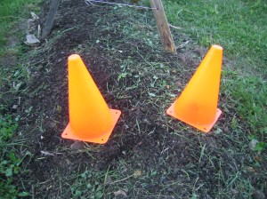 Alert! Frost Protection!