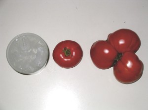 Seltzer and Tomatoes Fizzy, Round and Just Plain Odd
