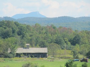 max Zoom with the New Camera