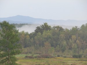 Still Smoking, 24 Hours Later