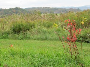 Fall Has Arrived for Certain