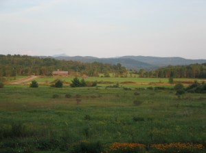 Max Zoom with the Old Camera