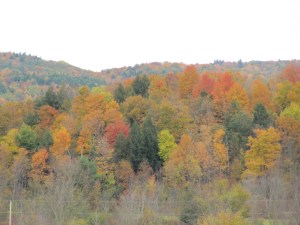 What's Not to Like About This?