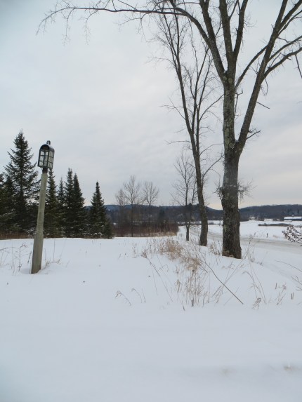 Is this really going to get washed away by rain?