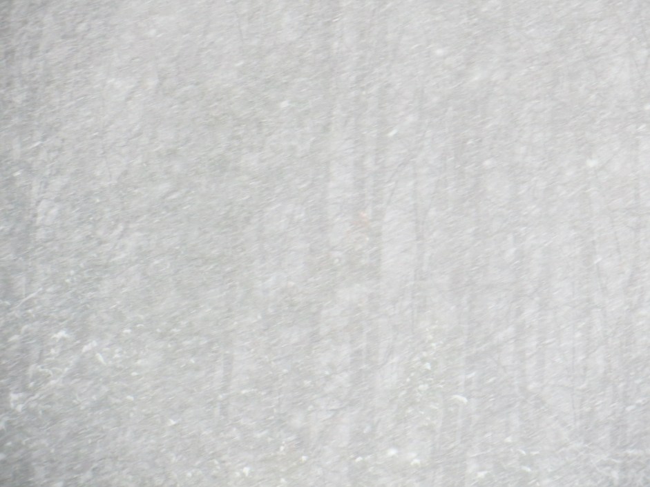 Snow coming down hard