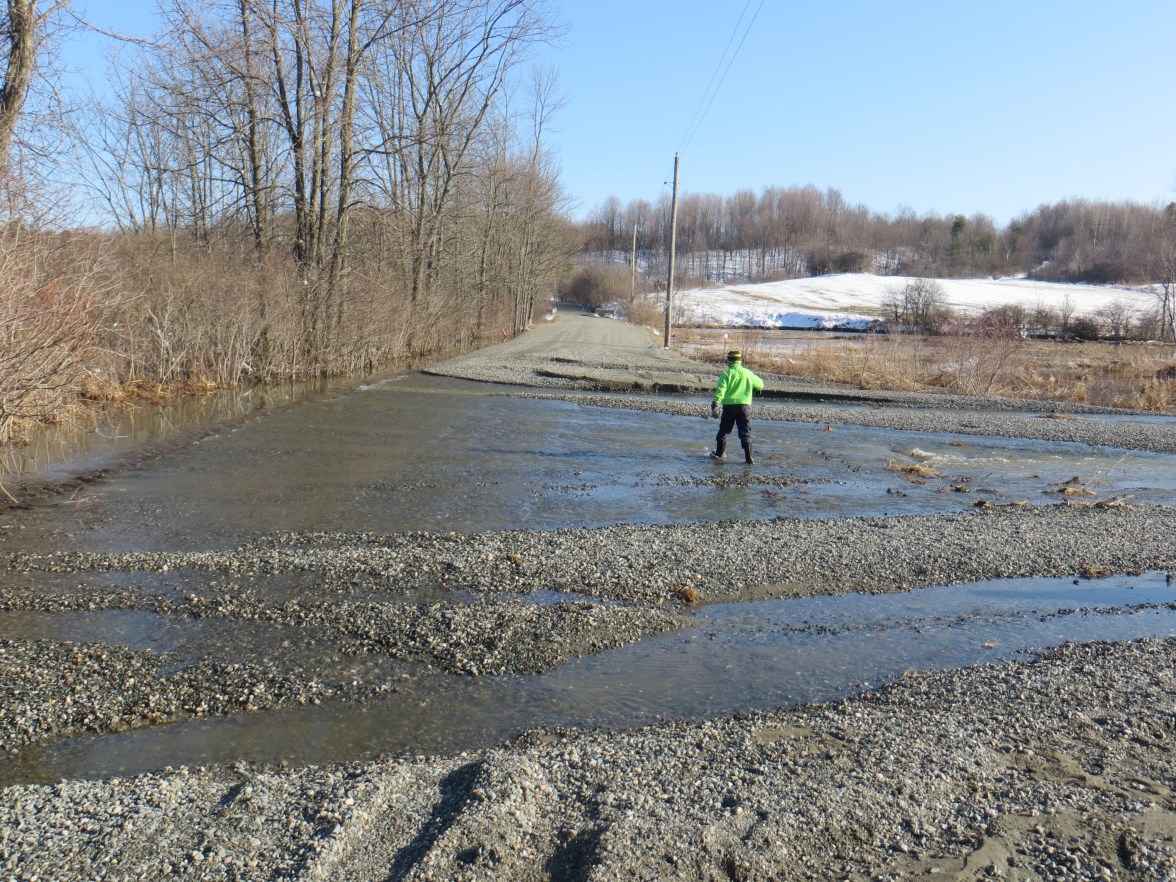 Wading to check out the water under the bridge