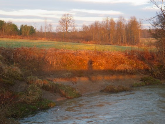 Self portrait. 6:00 AM.