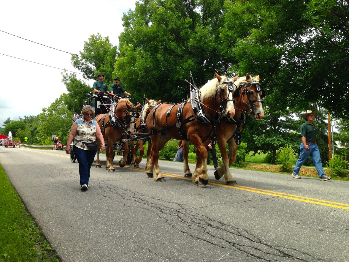 Horses