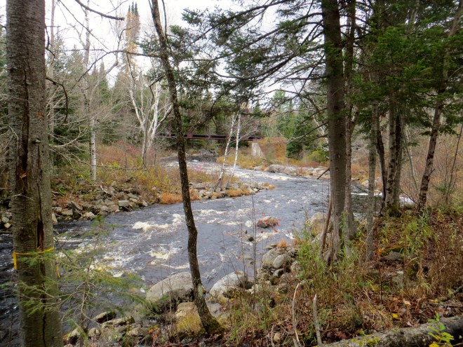 Nulhegan River