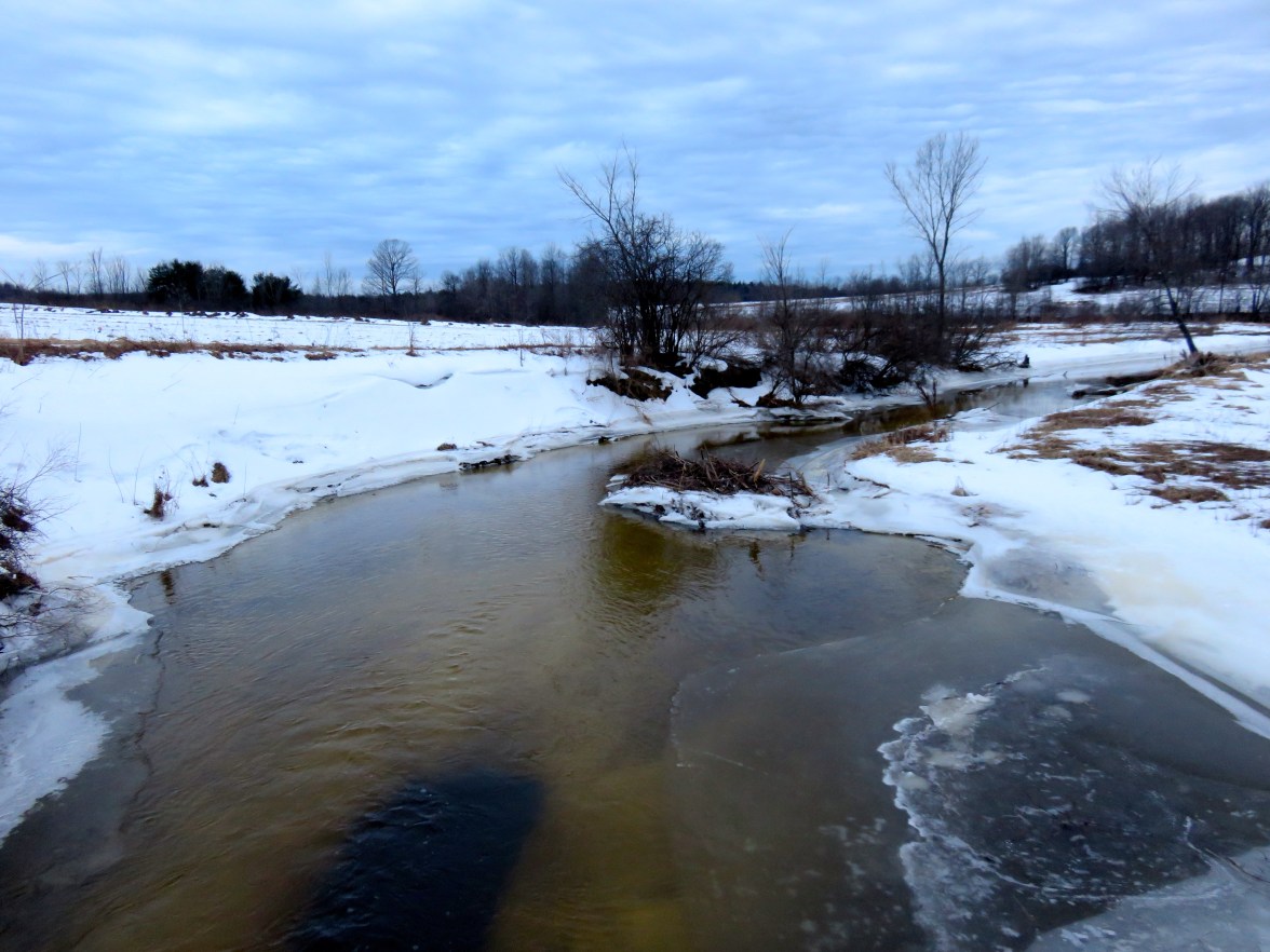 LaPlatte River, March 14 2015