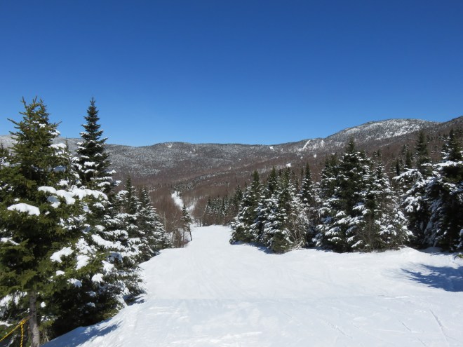 Perfect day for skiing