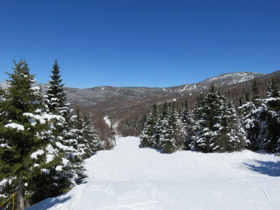 Perfect day for skiing