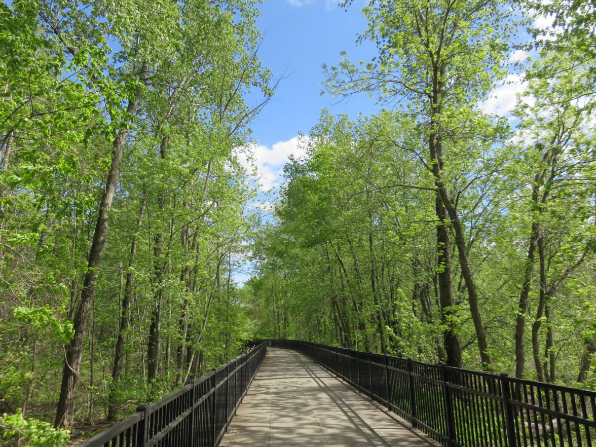 Bike Path, Burlington