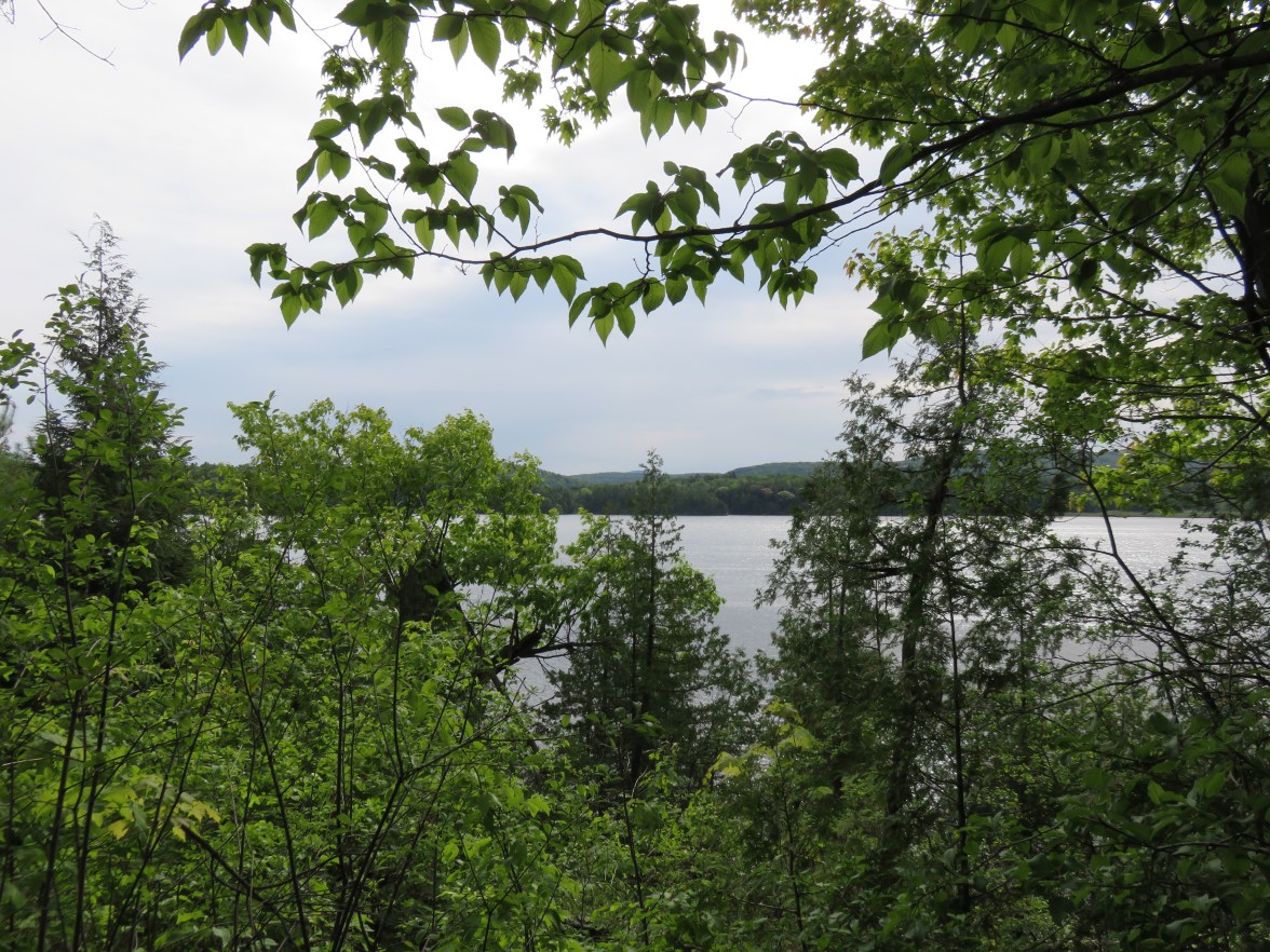 Shelburne Pond