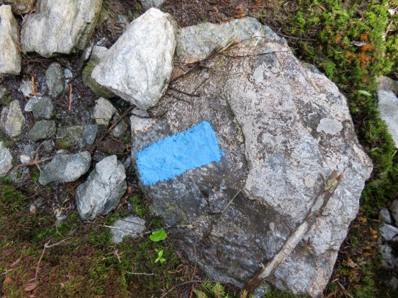 Trail marker along the route