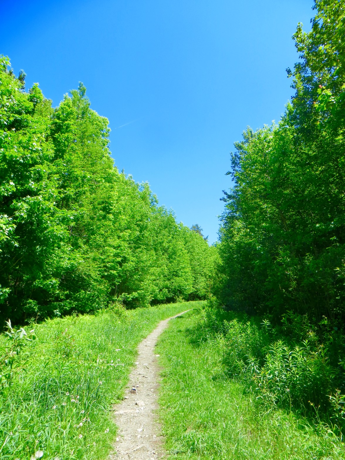 The beginning of my hike--easy going on a blue bird day.