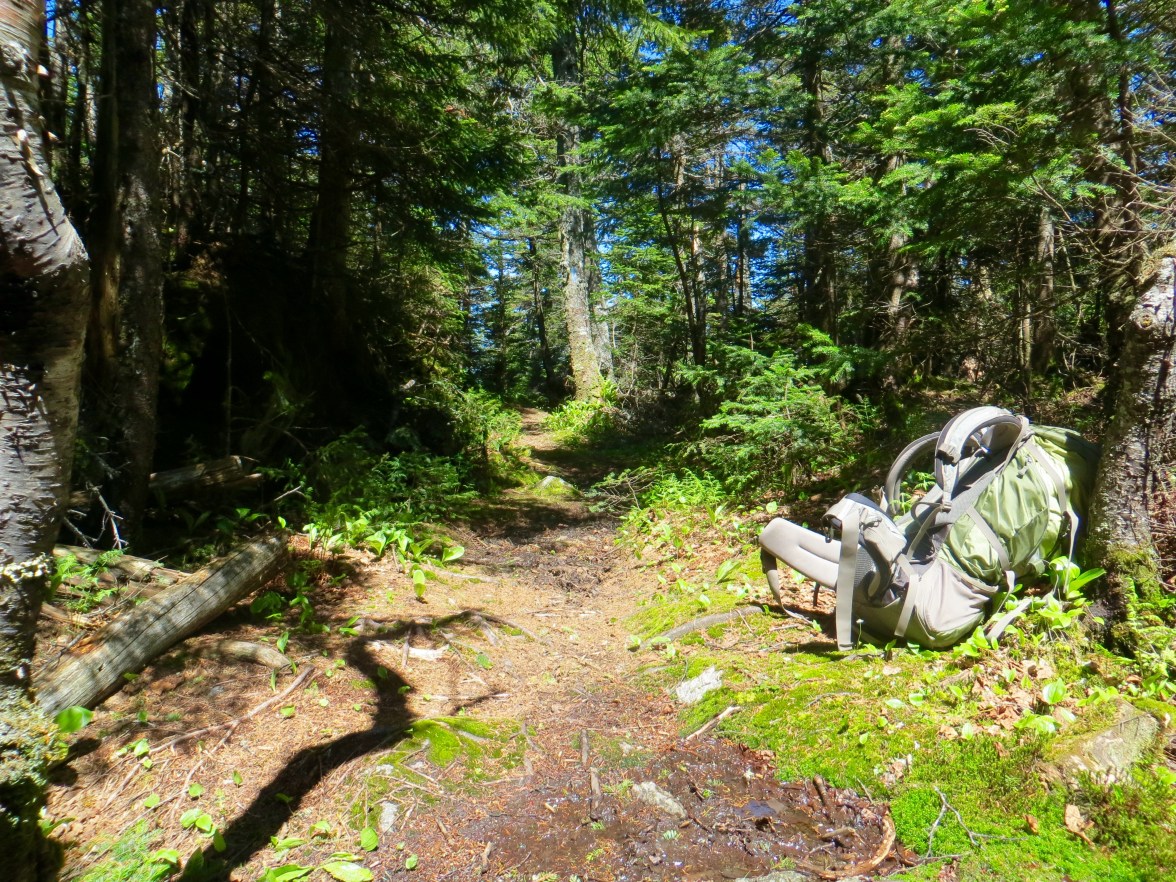 Pack off at the Skyline Trail junction.