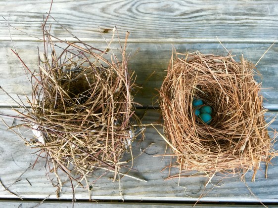 Wren nest on the left, bluebird nest on the right